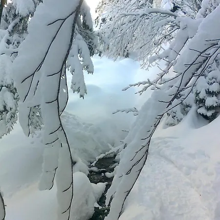 La Pastourelle * Villard-de-Lans